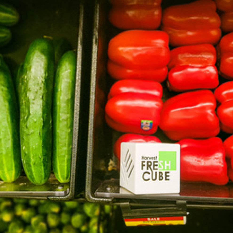 Harvest Fresh Cube - 2 Pack