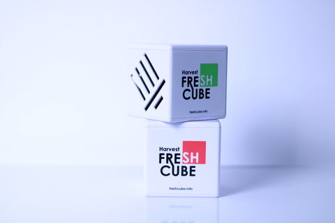 (6 months supply) Harvest Fresh Cube - 2 Pack
