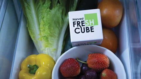 (6 months supply) Harvest Fresh Cube - 2 Pack